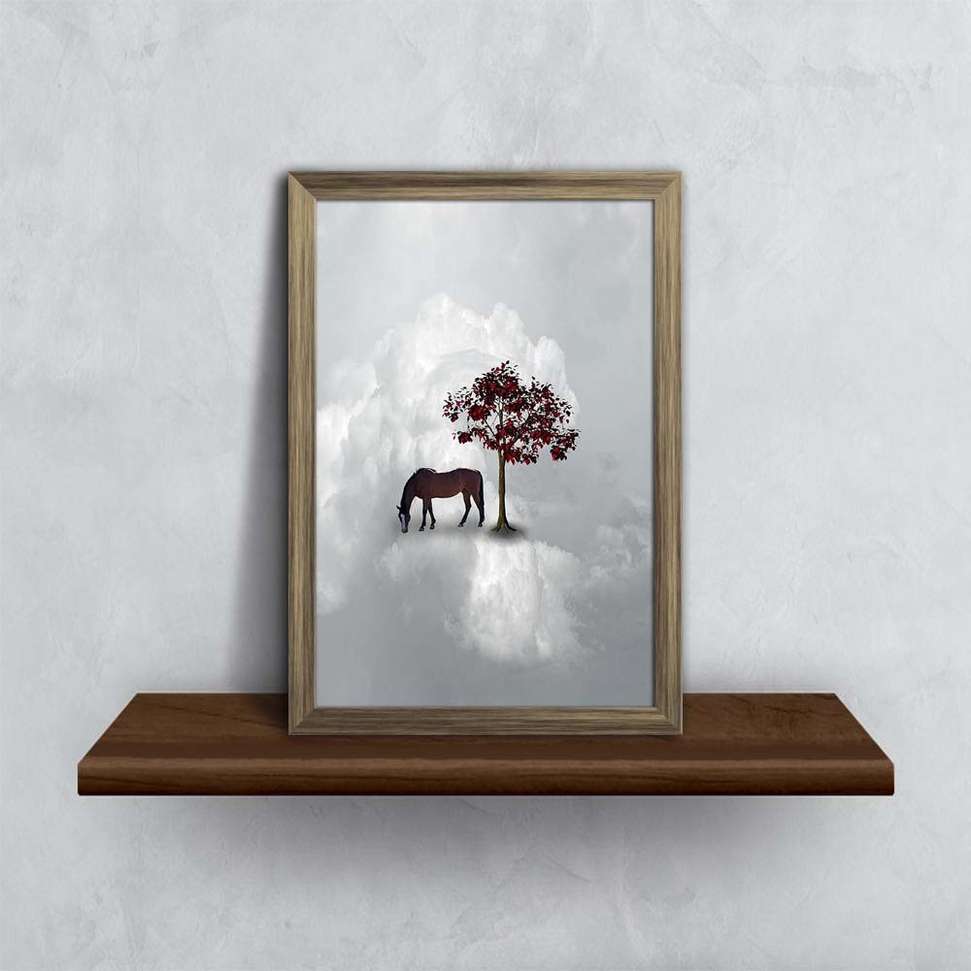 Image Placeholder