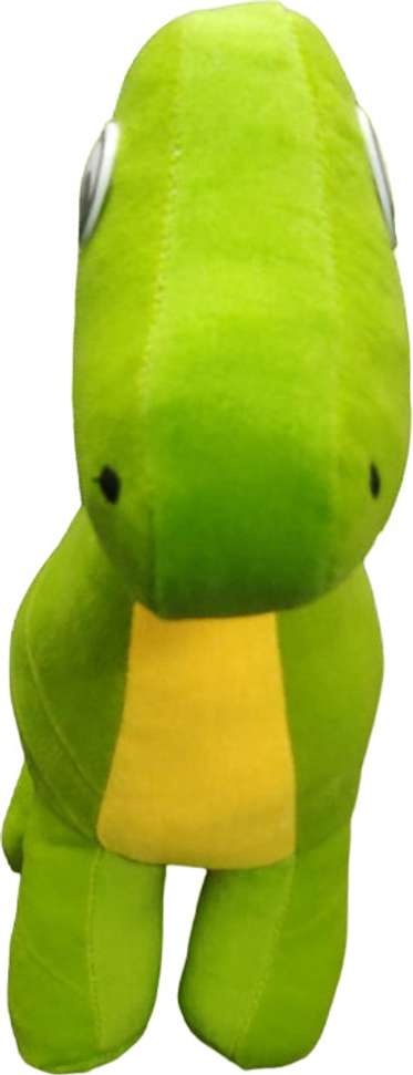 Image Placeholder