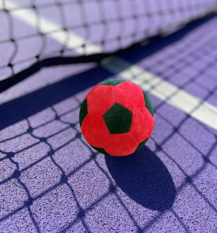 Image Placeholder
