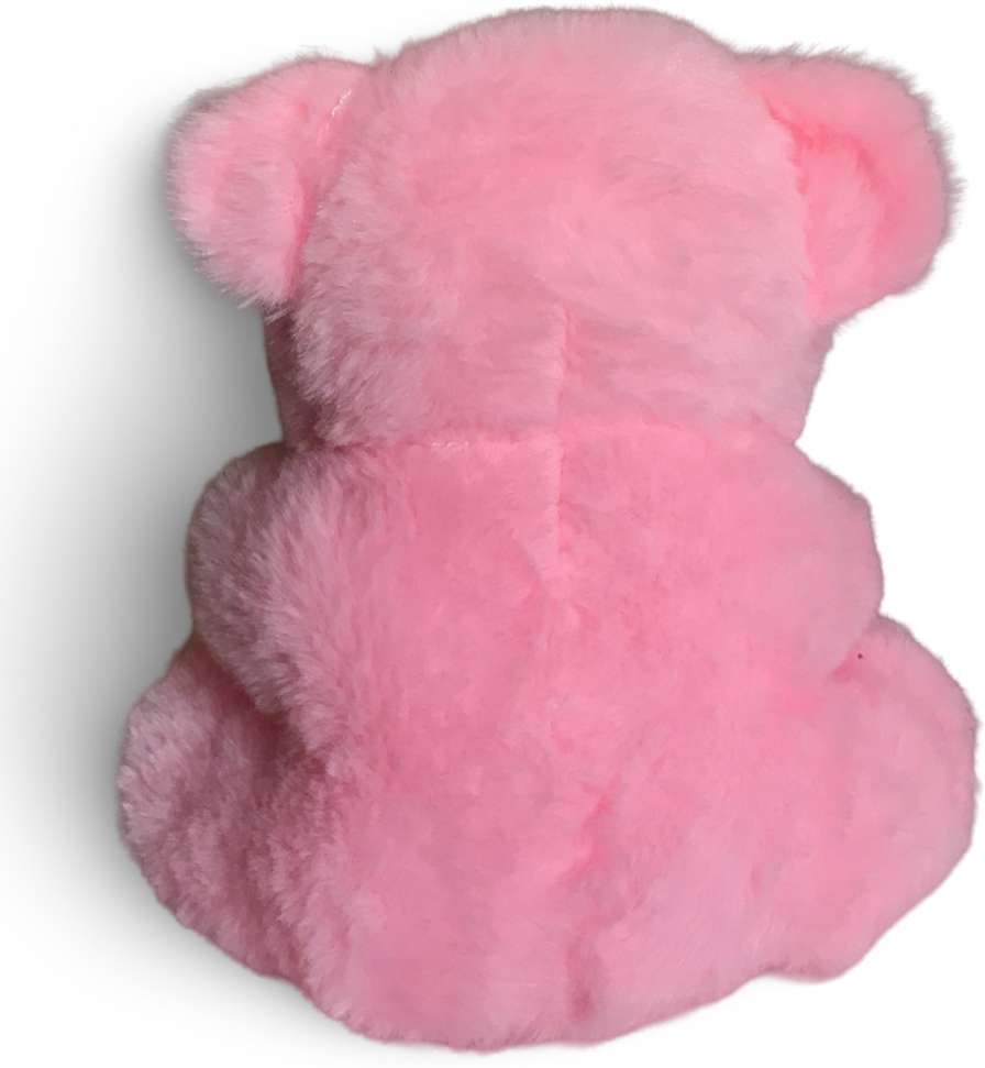 Image Placeholder