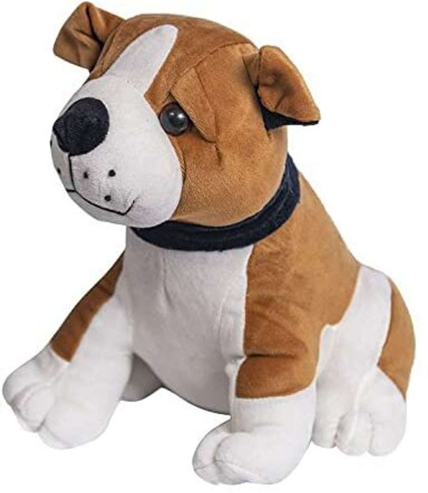 Image Placeholder