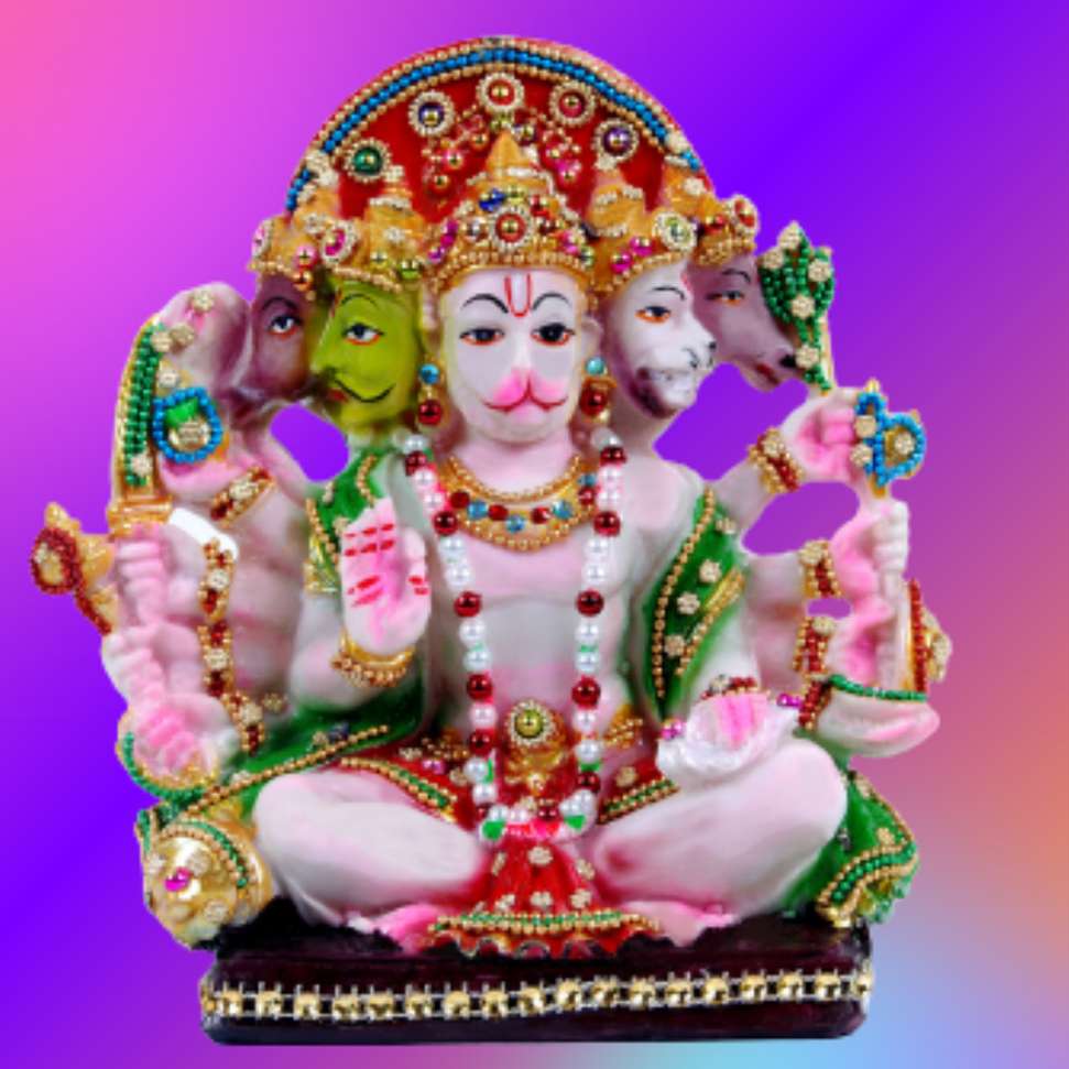 Image Placeholder