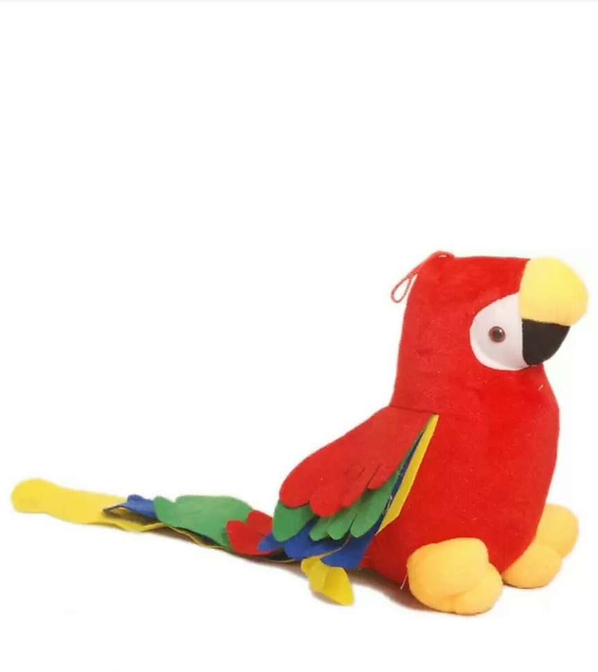Image Placeholder