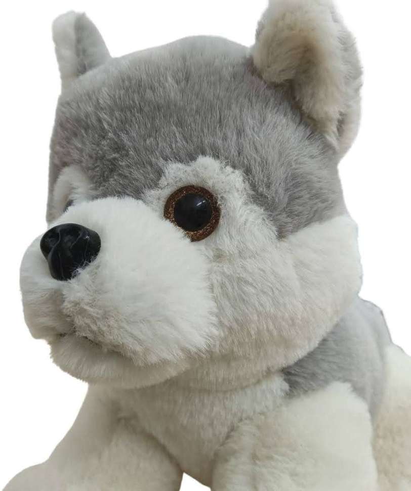Image Placeholder