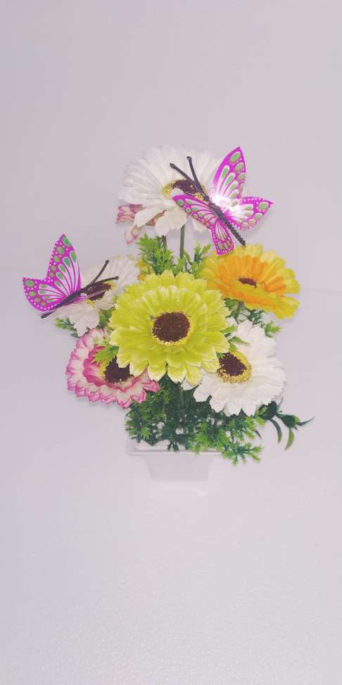Image Placeholder