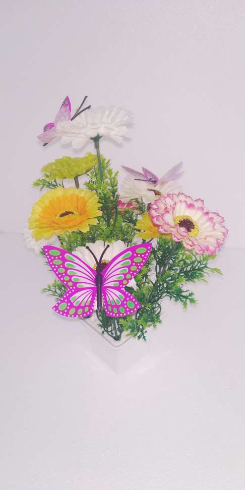 Image Placeholder
