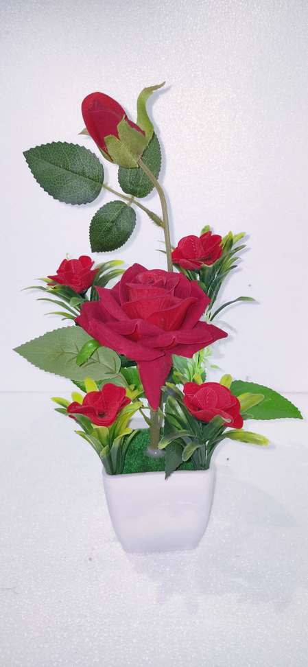 Image Placeholder