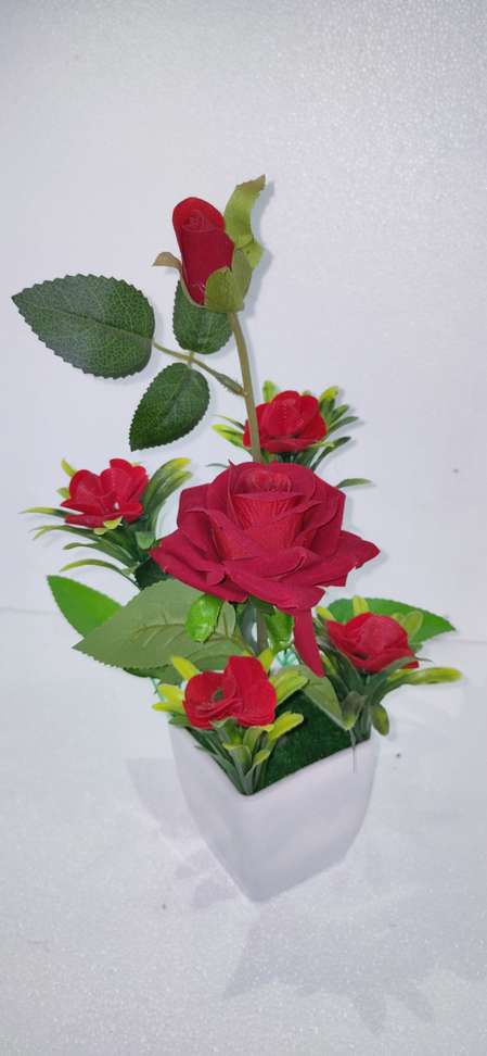 Image Placeholder