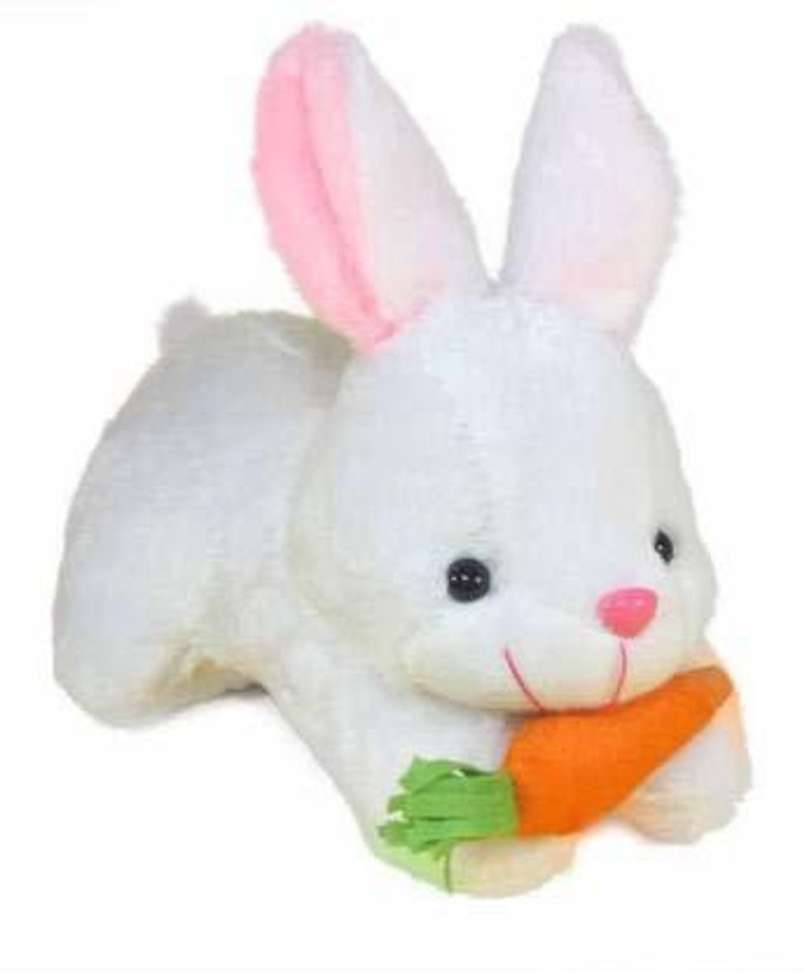 Image Placeholder