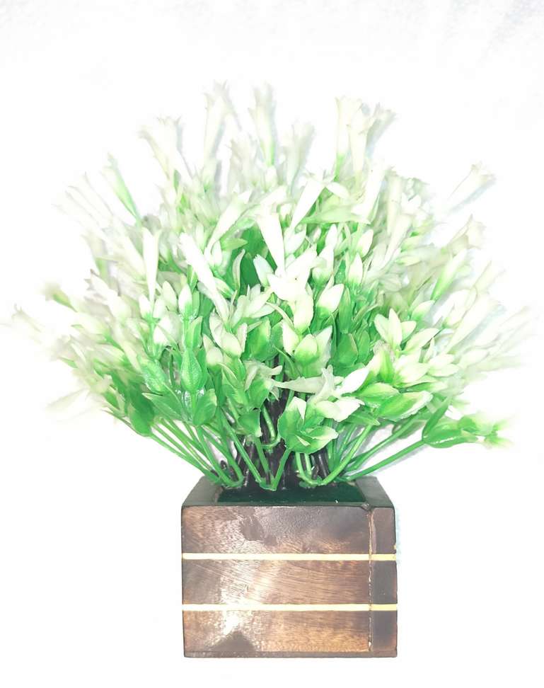Image Placeholder
