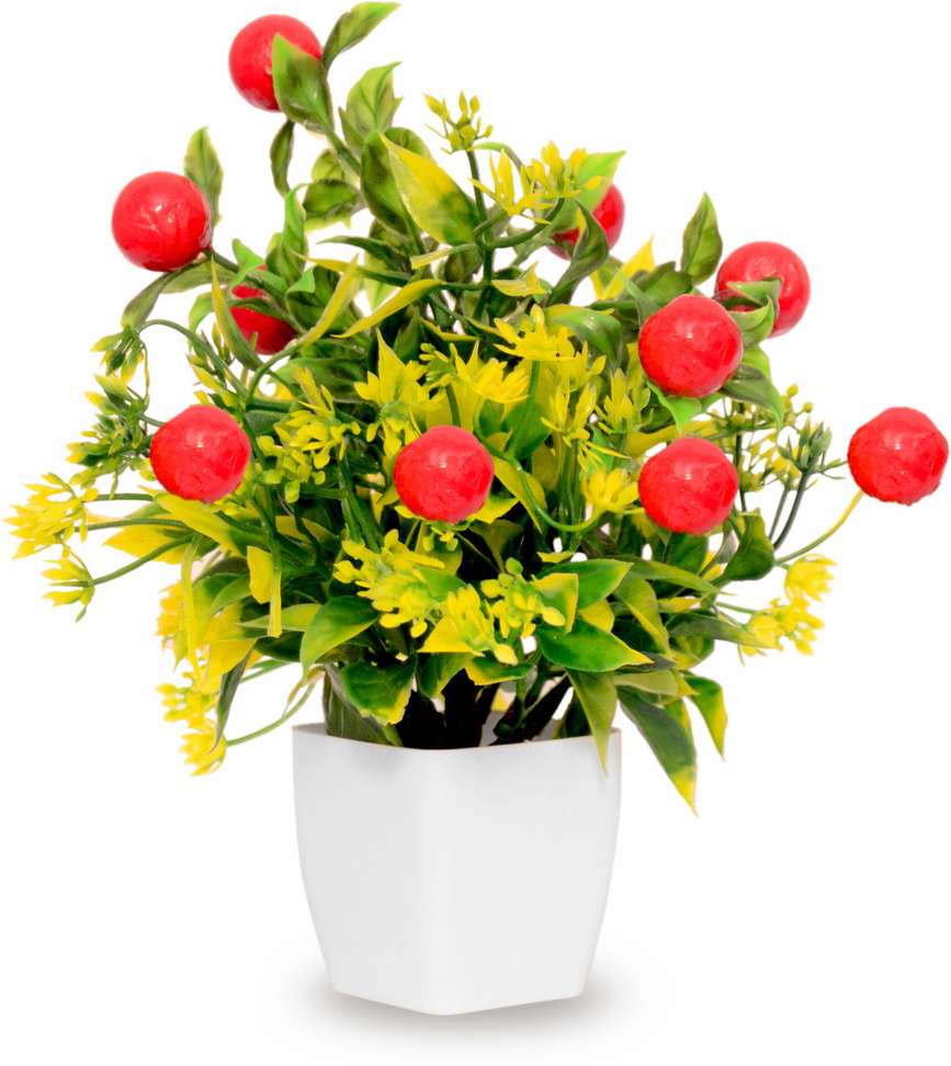 Image Placeholder