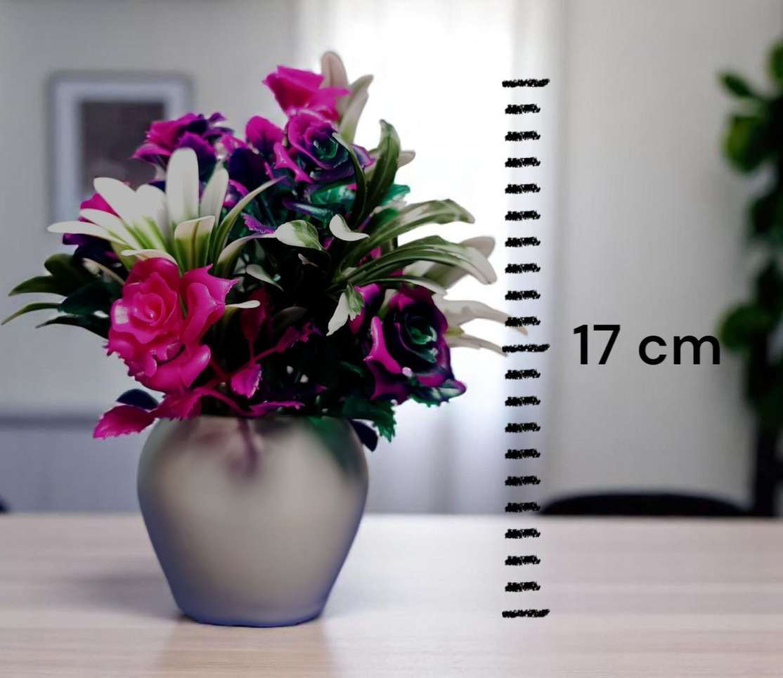Image Placeholder