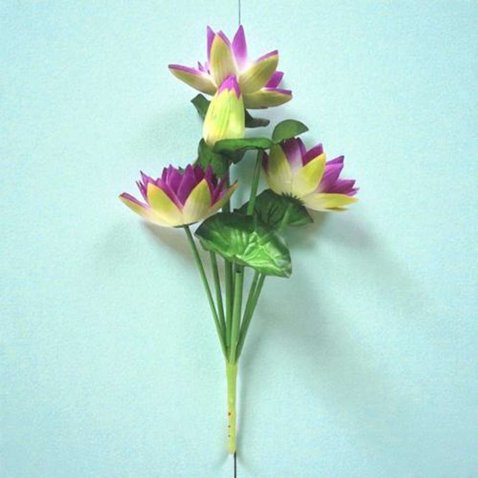 Image Placeholder