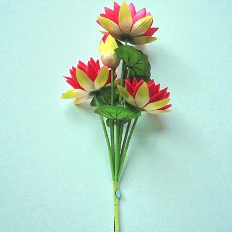 Image Placeholder