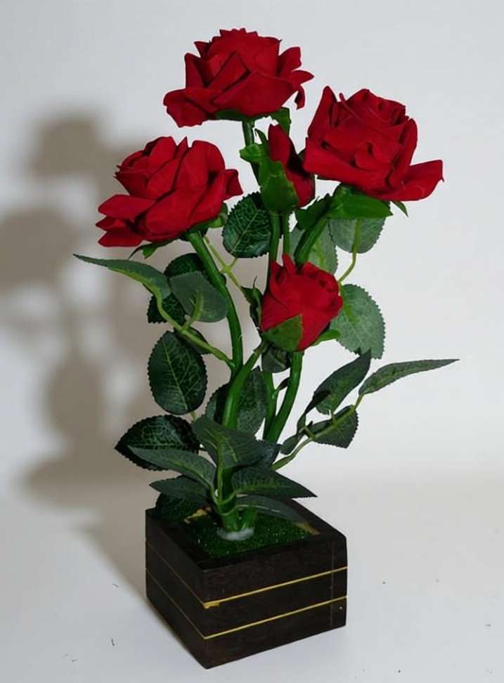 Image Placeholder