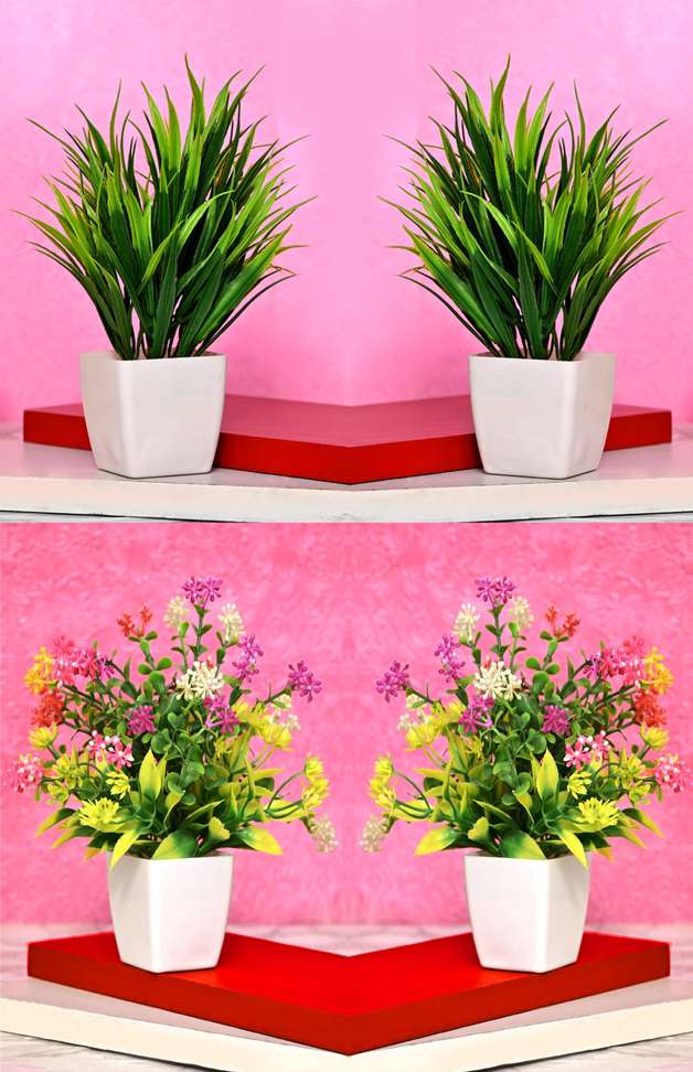 Image Placeholder
