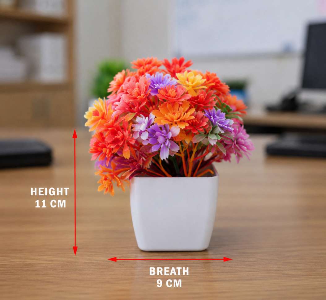 Image Placeholder
