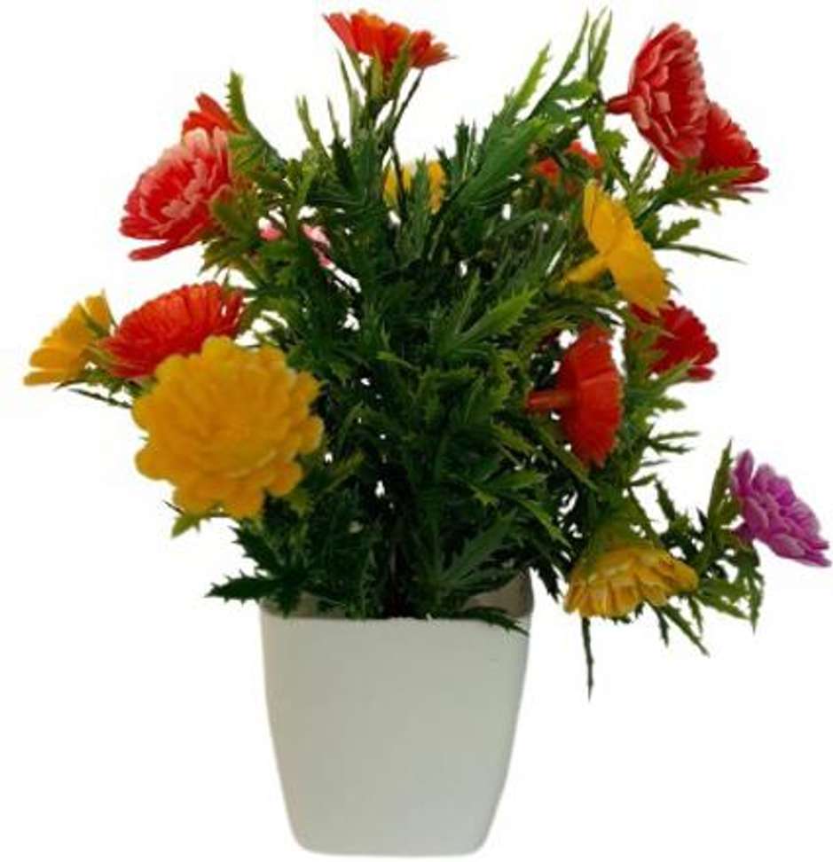 Image Placeholder