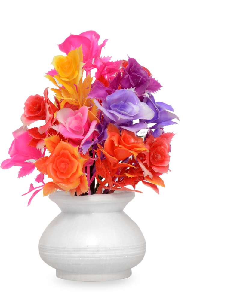 Image Placeholder