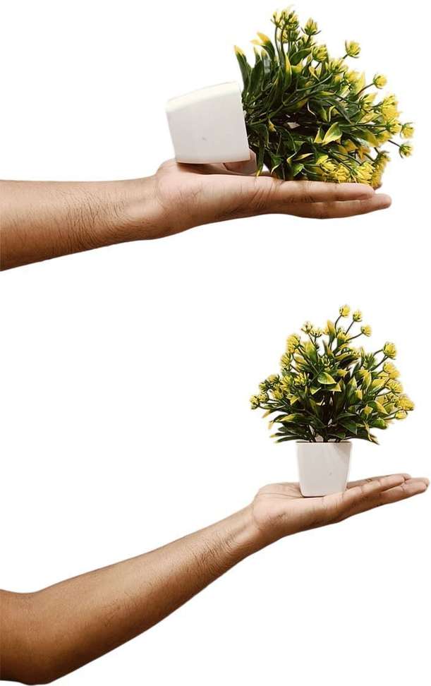 Image Placeholder