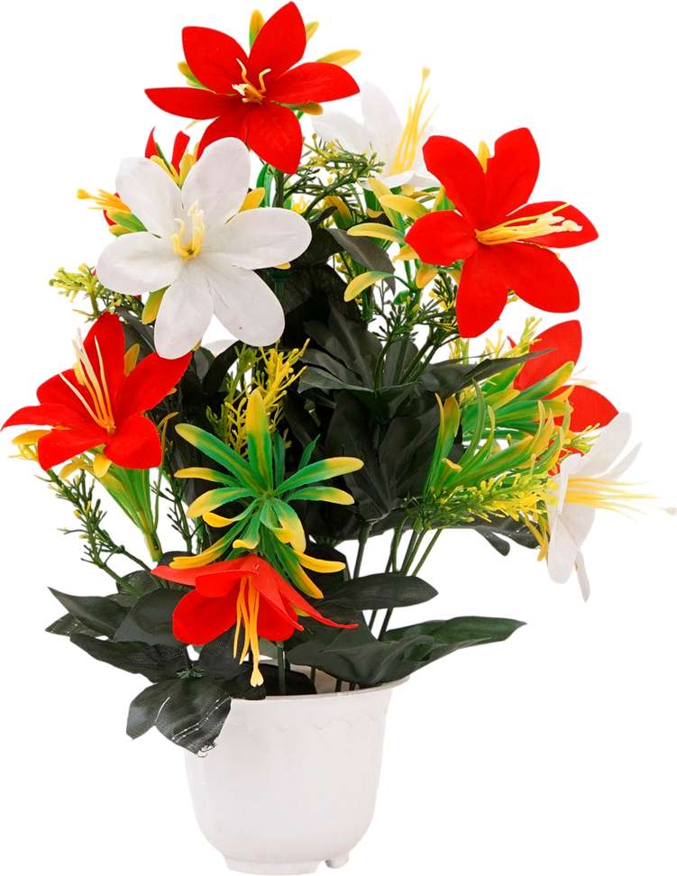 Image Placeholder