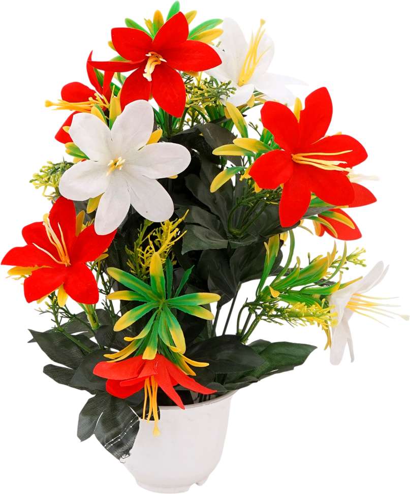 Image Placeholder