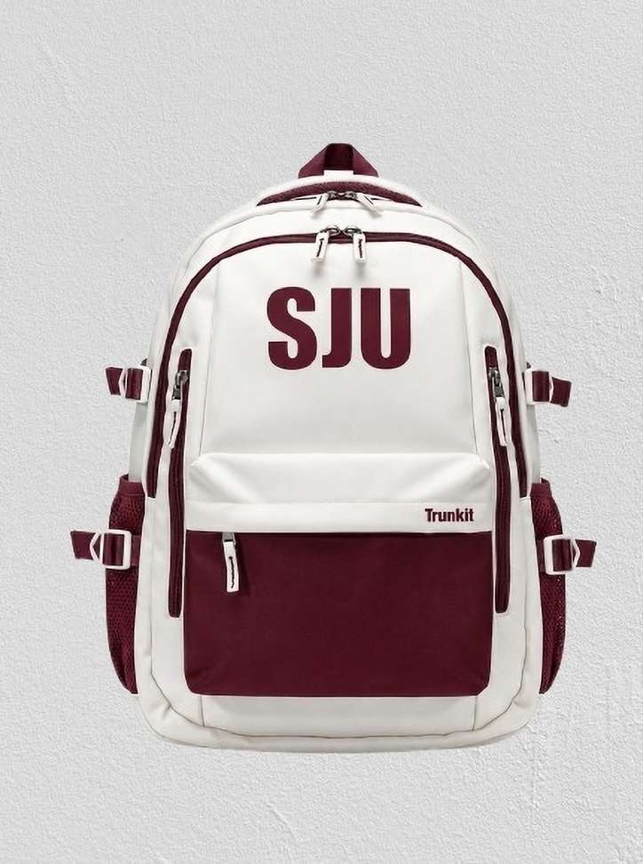 Shopsy Trunkit Kawaii Laptop Backpack Maroon - Image 2