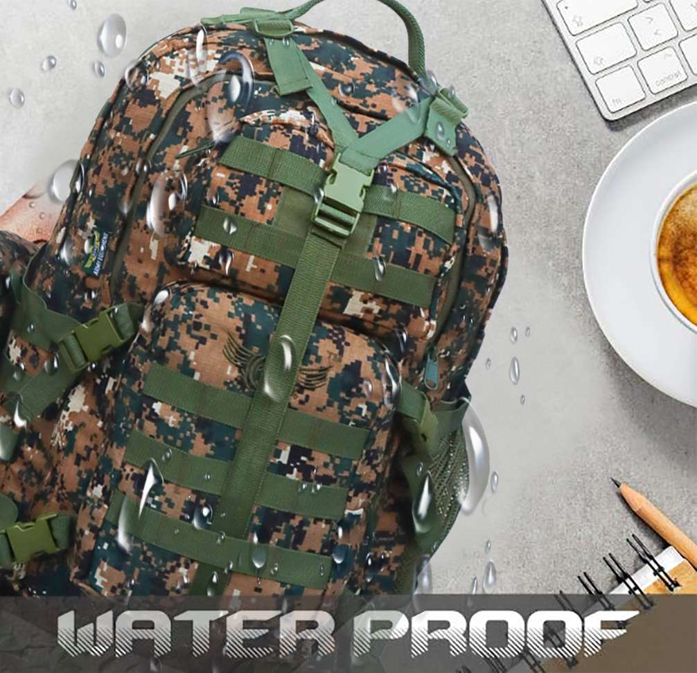 Image Placeholder