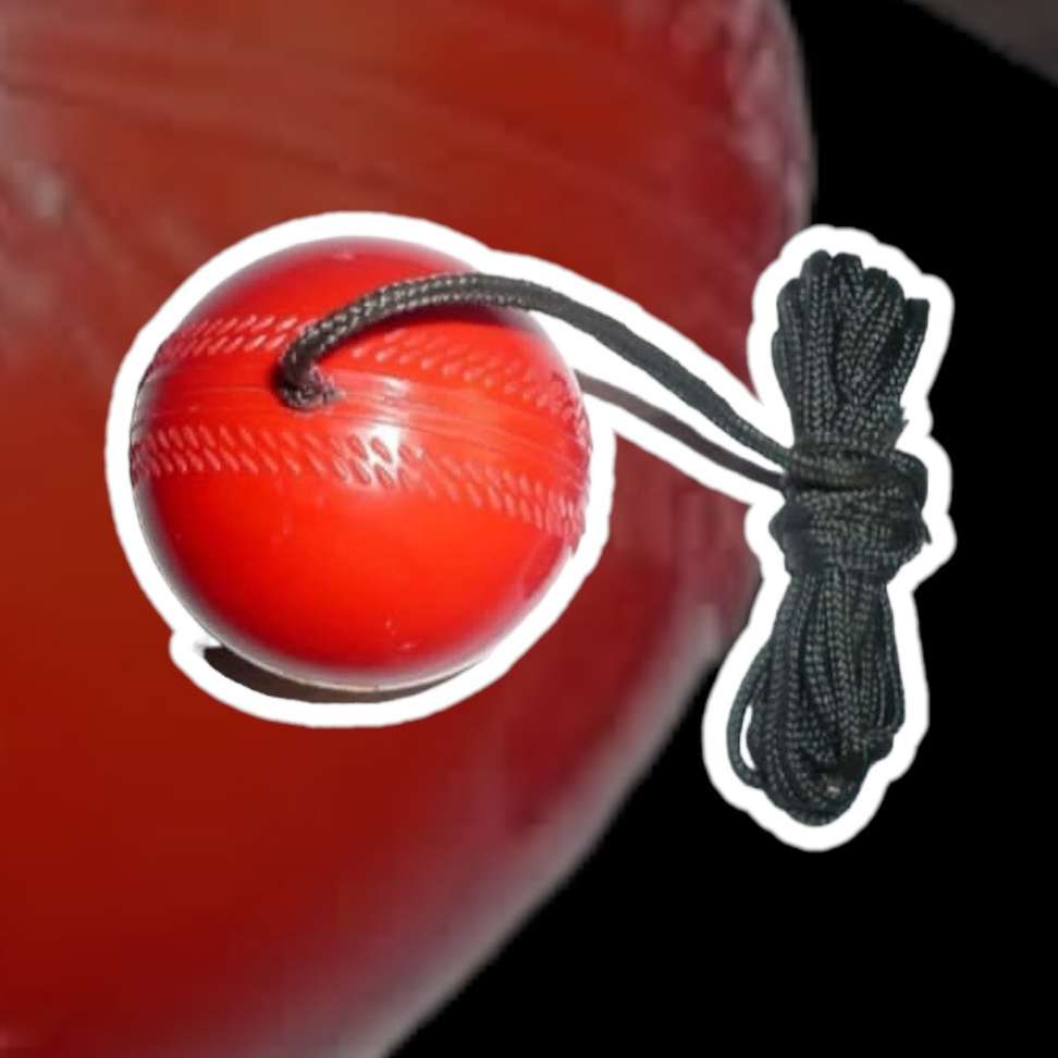 Image Placeholder