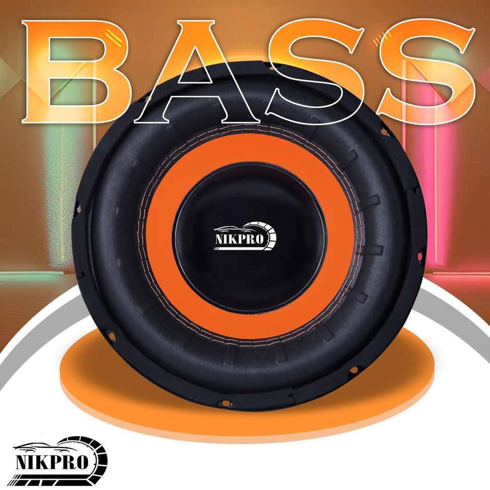 Shopsy NIKPRO 10-Inch 250W RMS Subwoofer - Image 2
