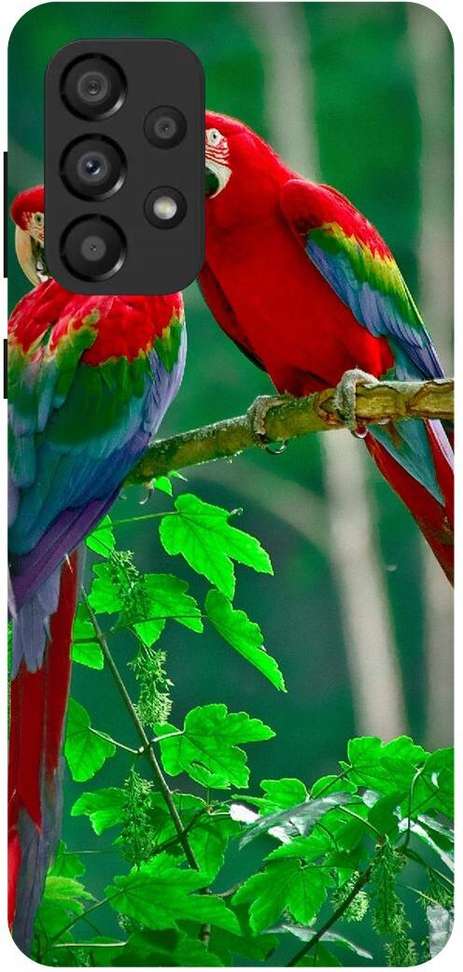 Image Placeholder