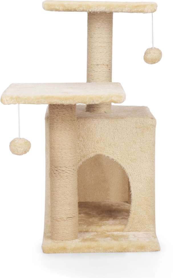 Image Placeholder