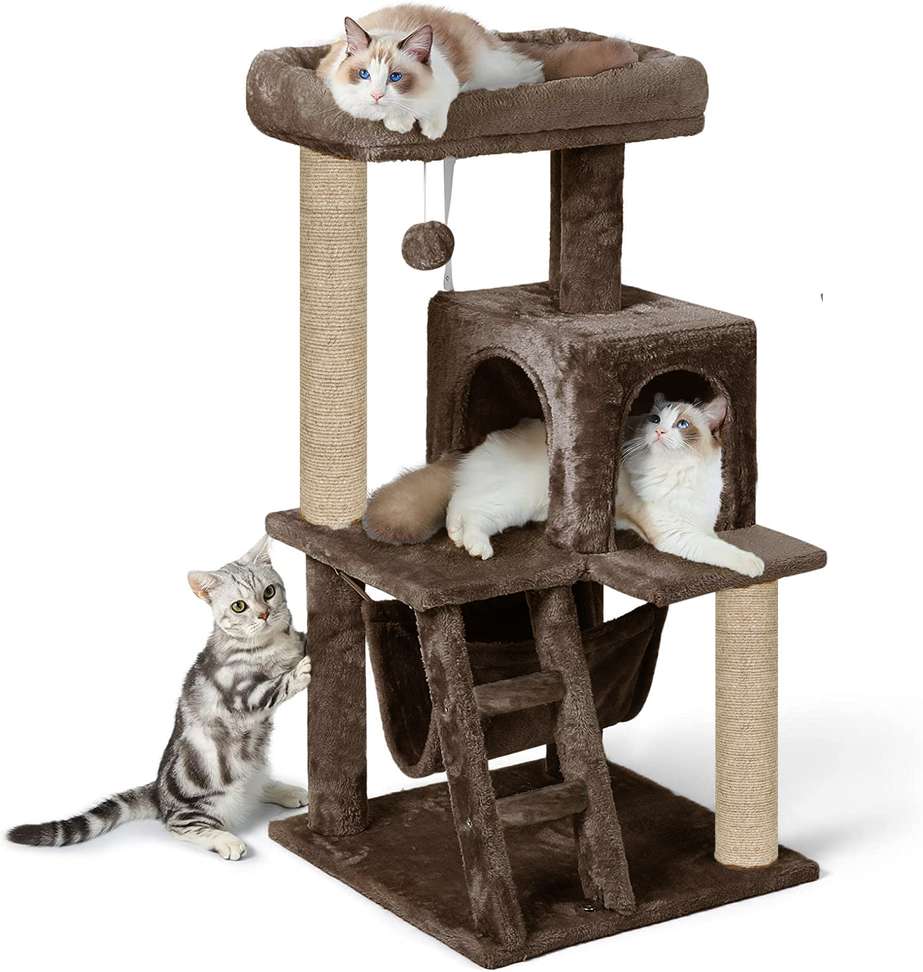 Image Placeholder