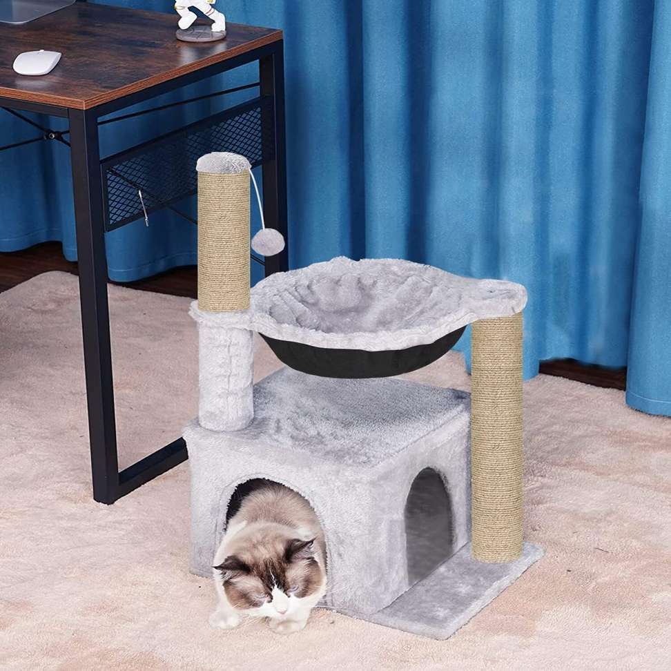 Image Placeholder