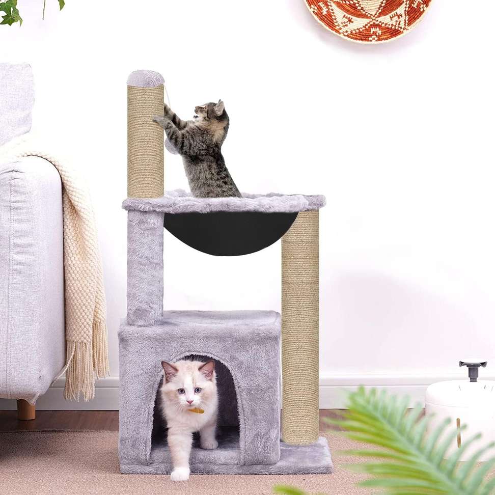 Image Placeholder