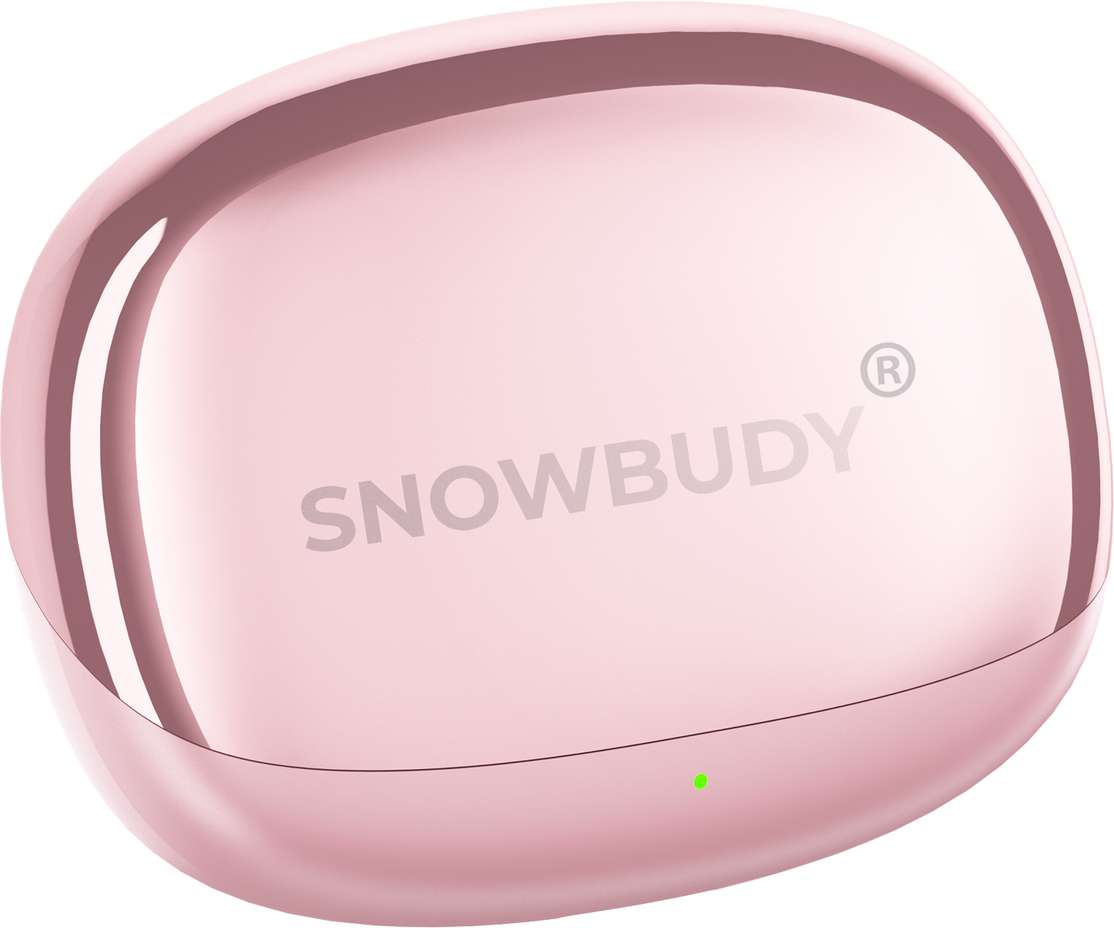 Snowbudy Superpods Immersio Dolby Audio 3D Soundstage Wireless Earbuds – 83% OFF Deal