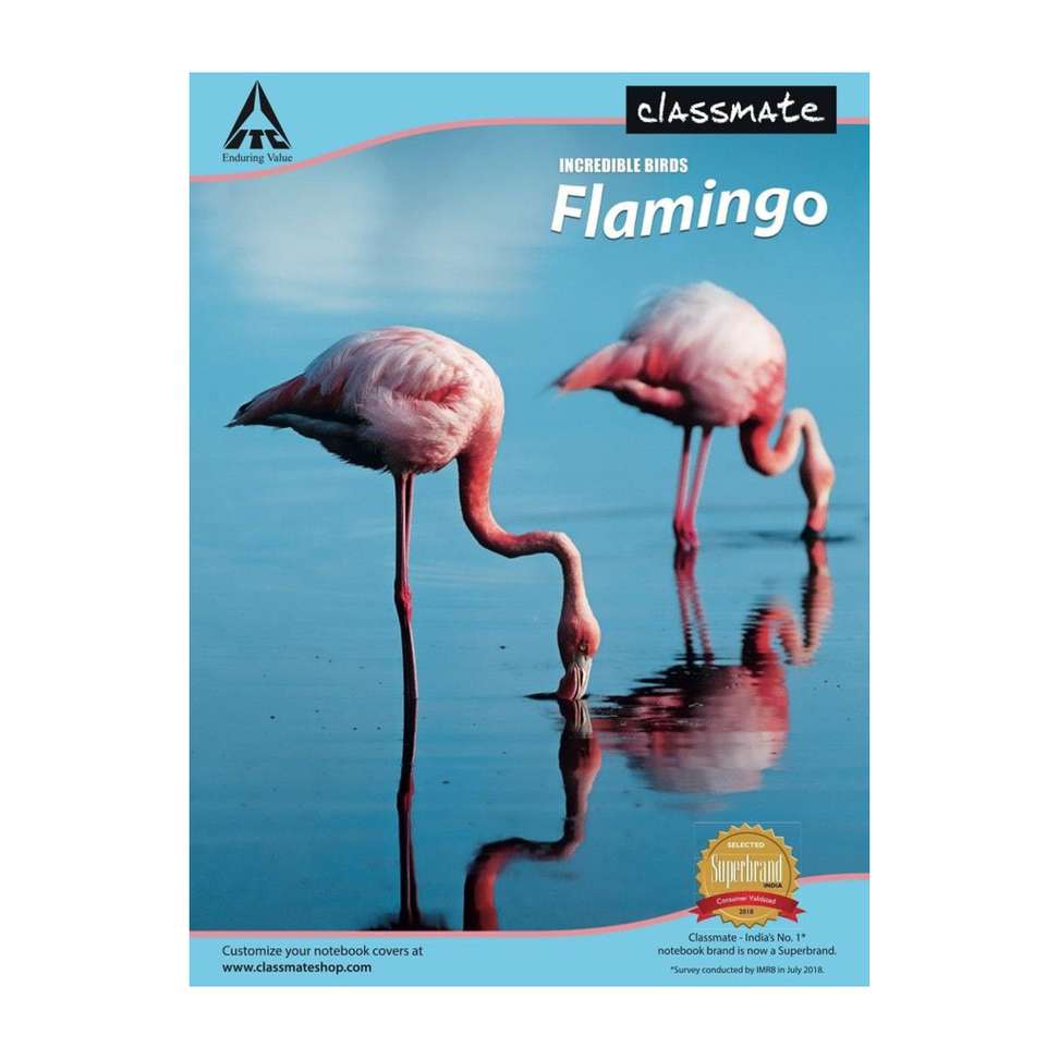Shopsy Classmate Longbook A4 Notebook 240 Pages - Image 2