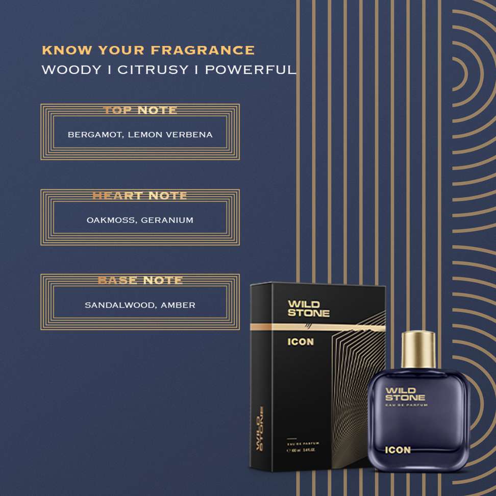 Shopsy Wild Stone ICON Perfume 100 ml - Image 4
