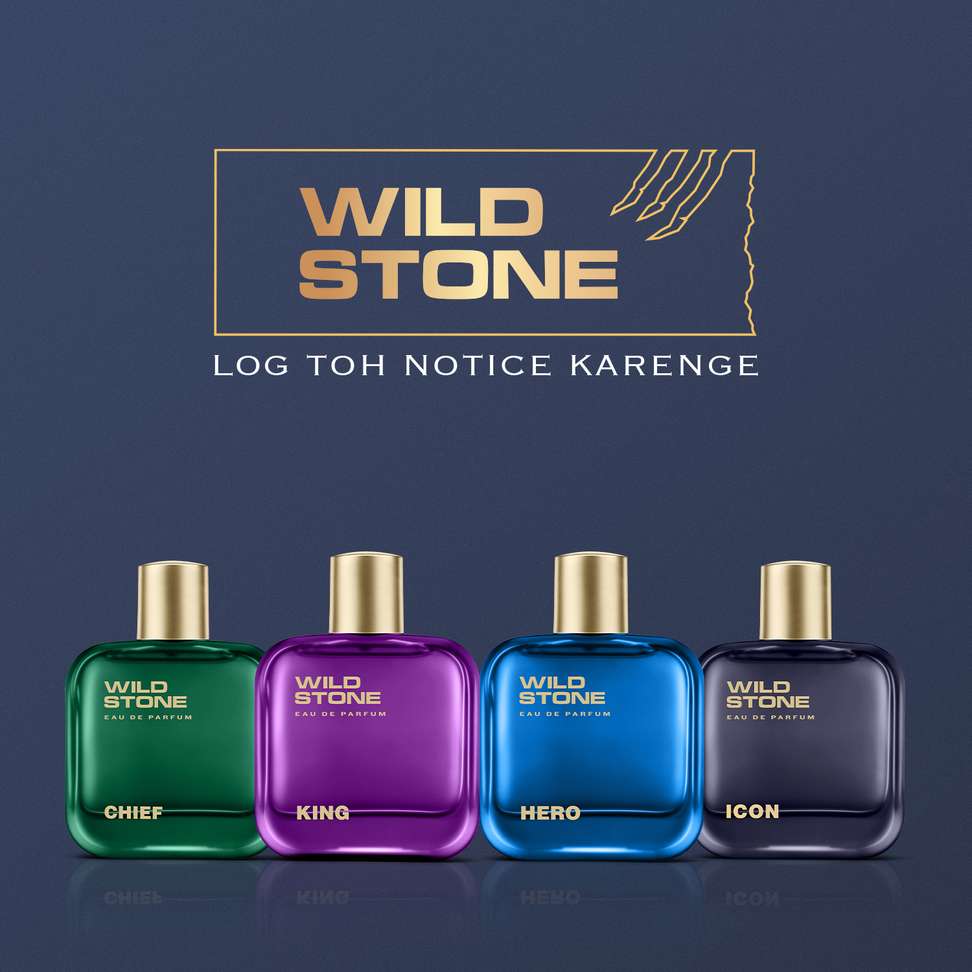 Shopsy Wild Stone ICON Perfume 100 ml - Image 7