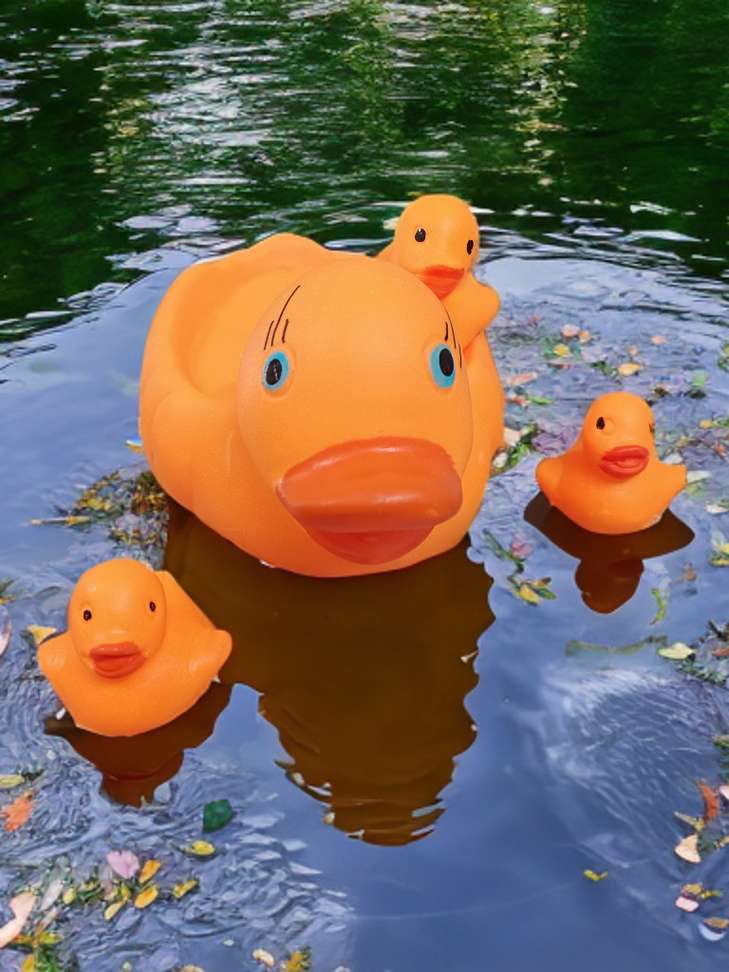 Image Placeholder