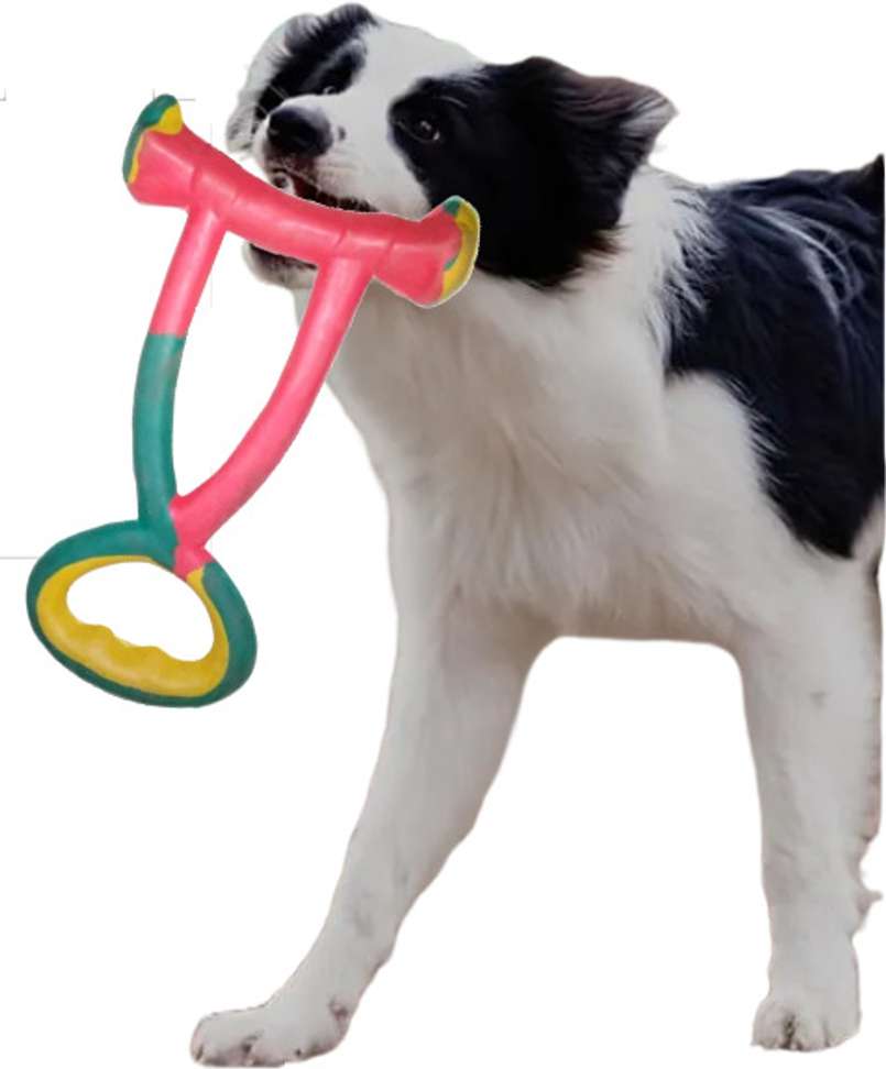 Image Placeholder