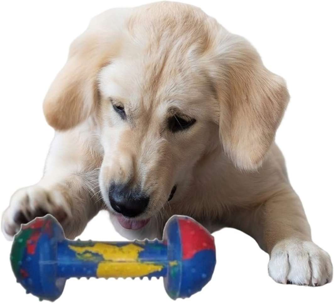 Image Placeholder