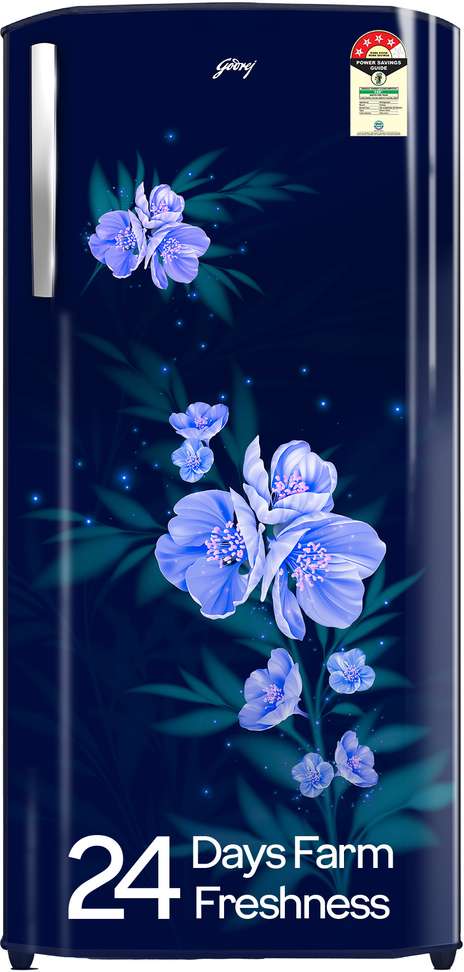 Godrej 180 L Direct Cool Single Door 4 Star Refrigerator Large Vegetable Tray 2 25 Bottle Space