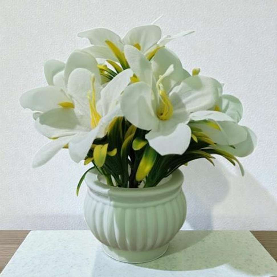 Image Placeholder