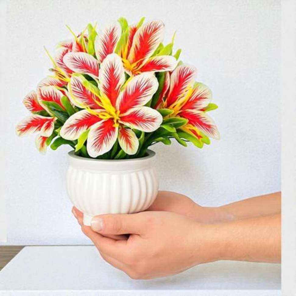 Image Placeholder