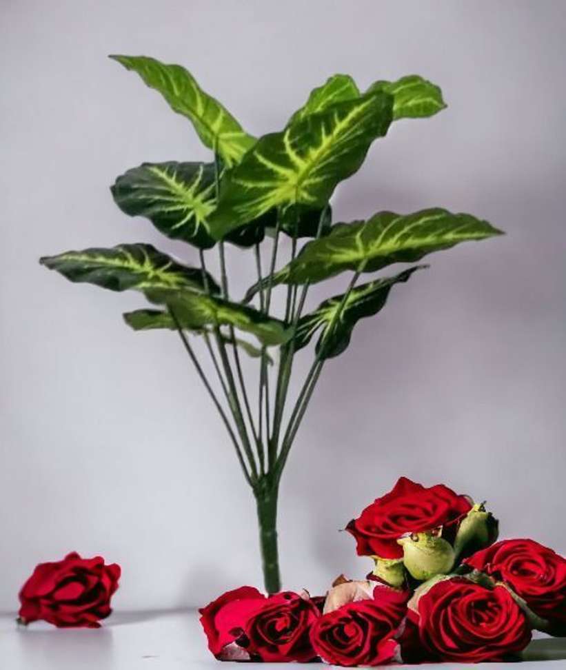 Image Placeholder