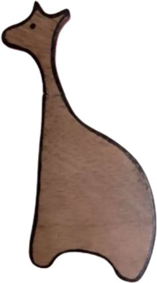 Image Placeholder
