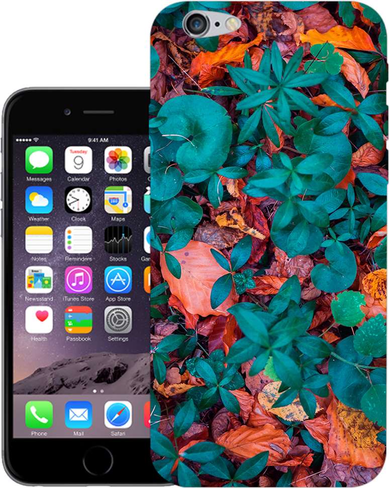 Image Placeholder