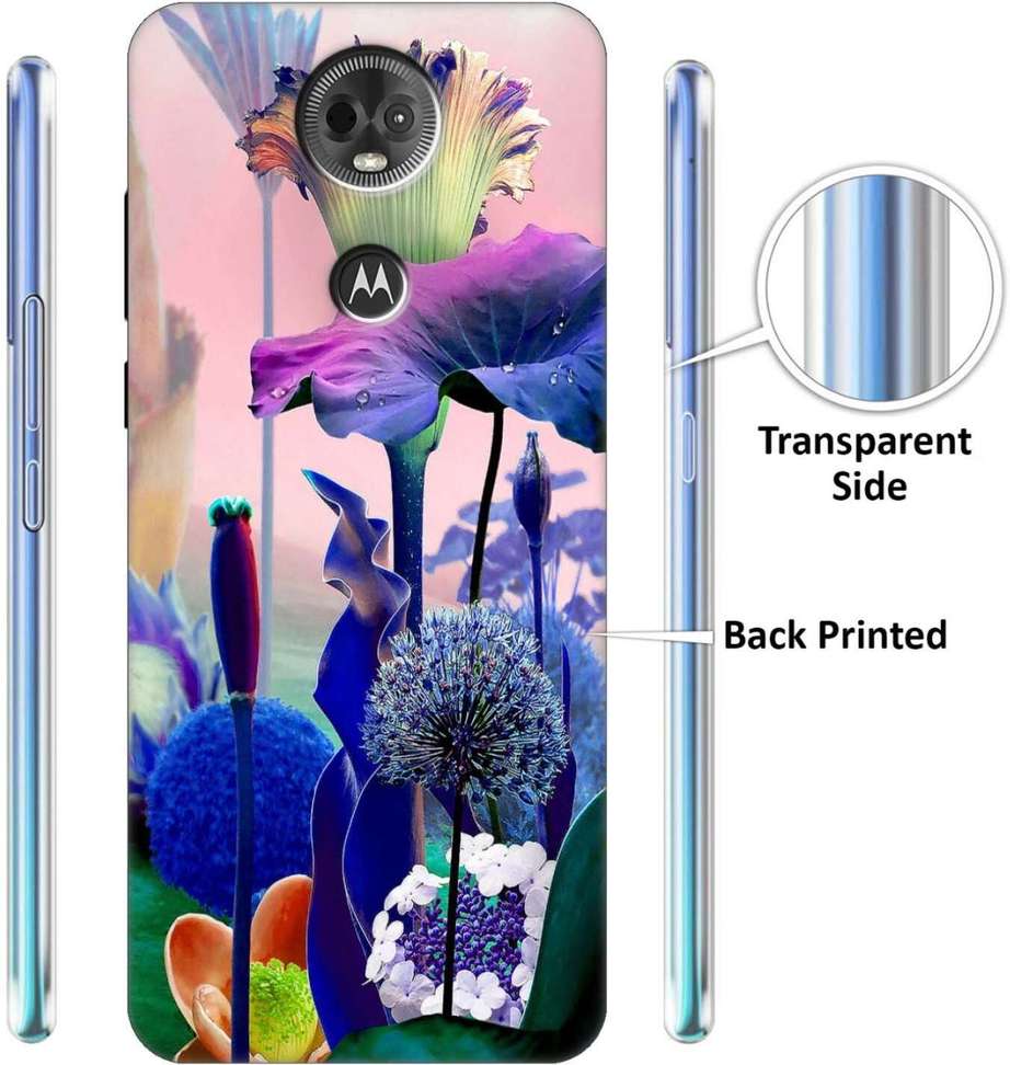 Image Placeholder