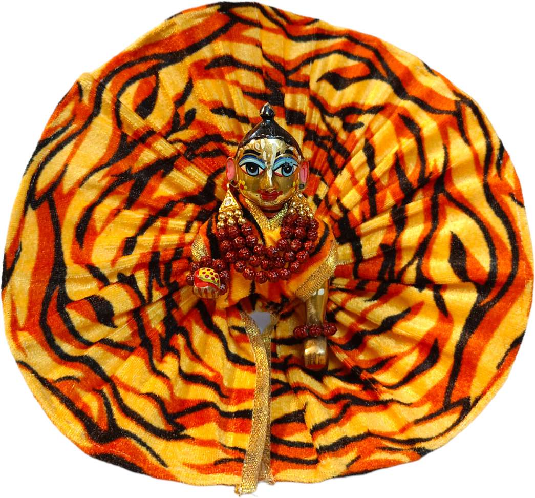 Image Placeholder
